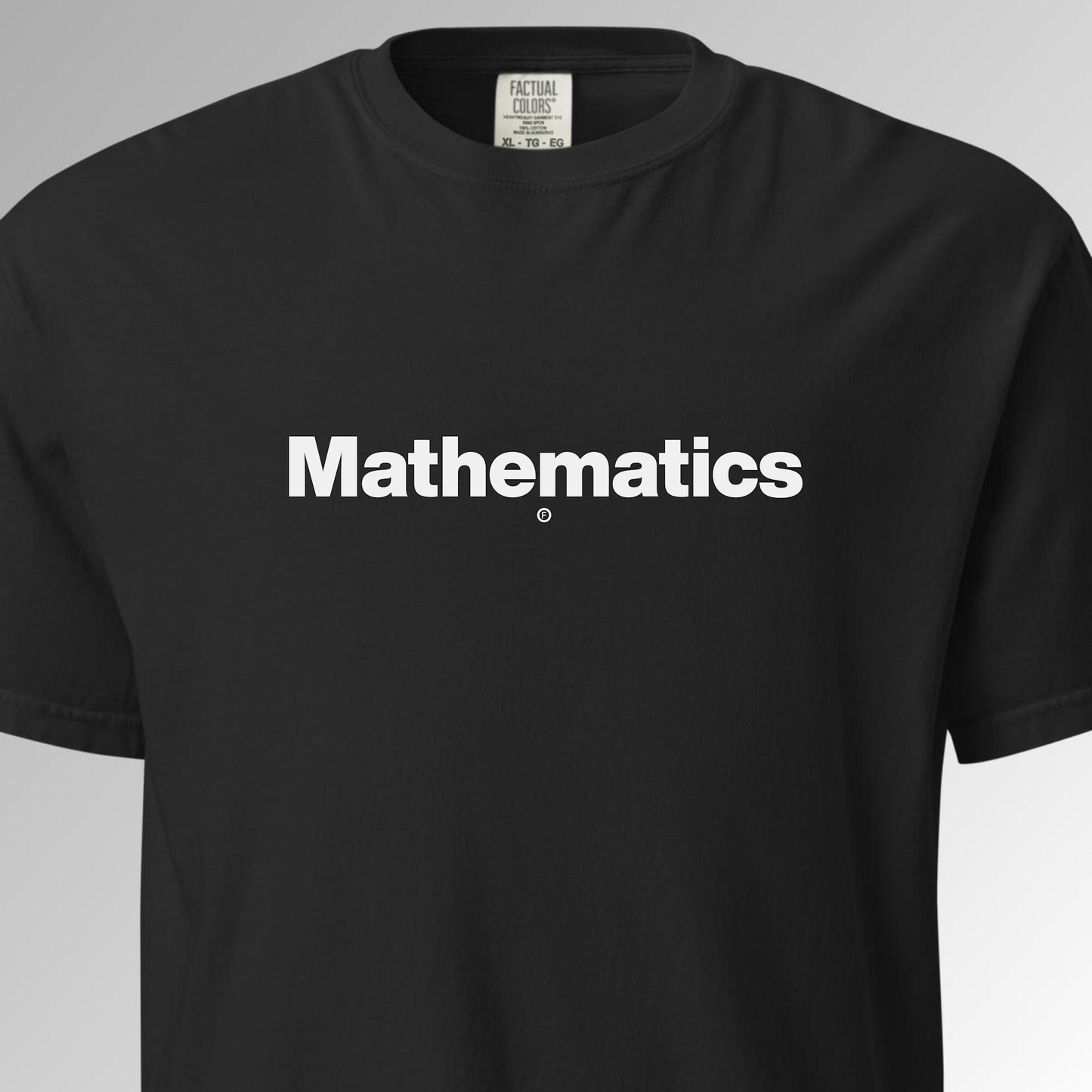 Mathematics T-Shirt - Black - Factual Objects