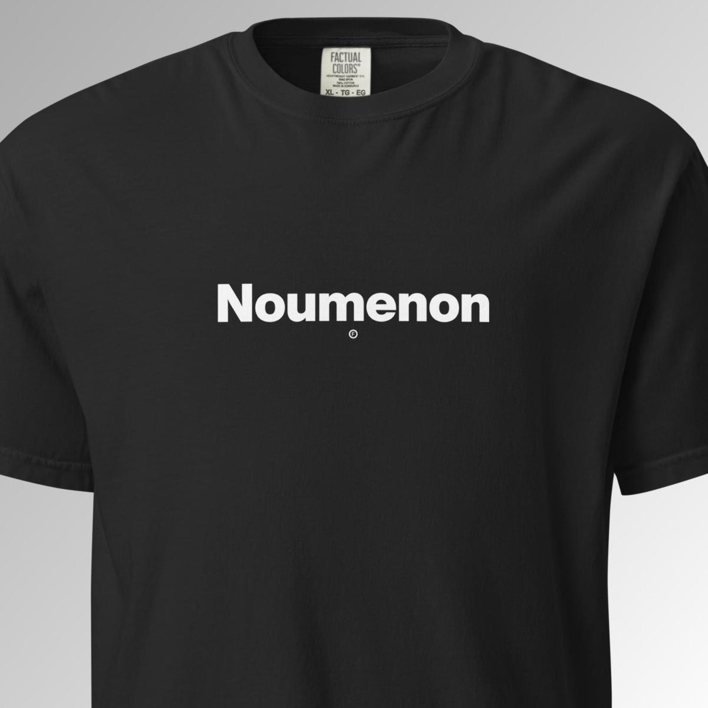 Noumenon T-Shirt - Black - Factual Objects