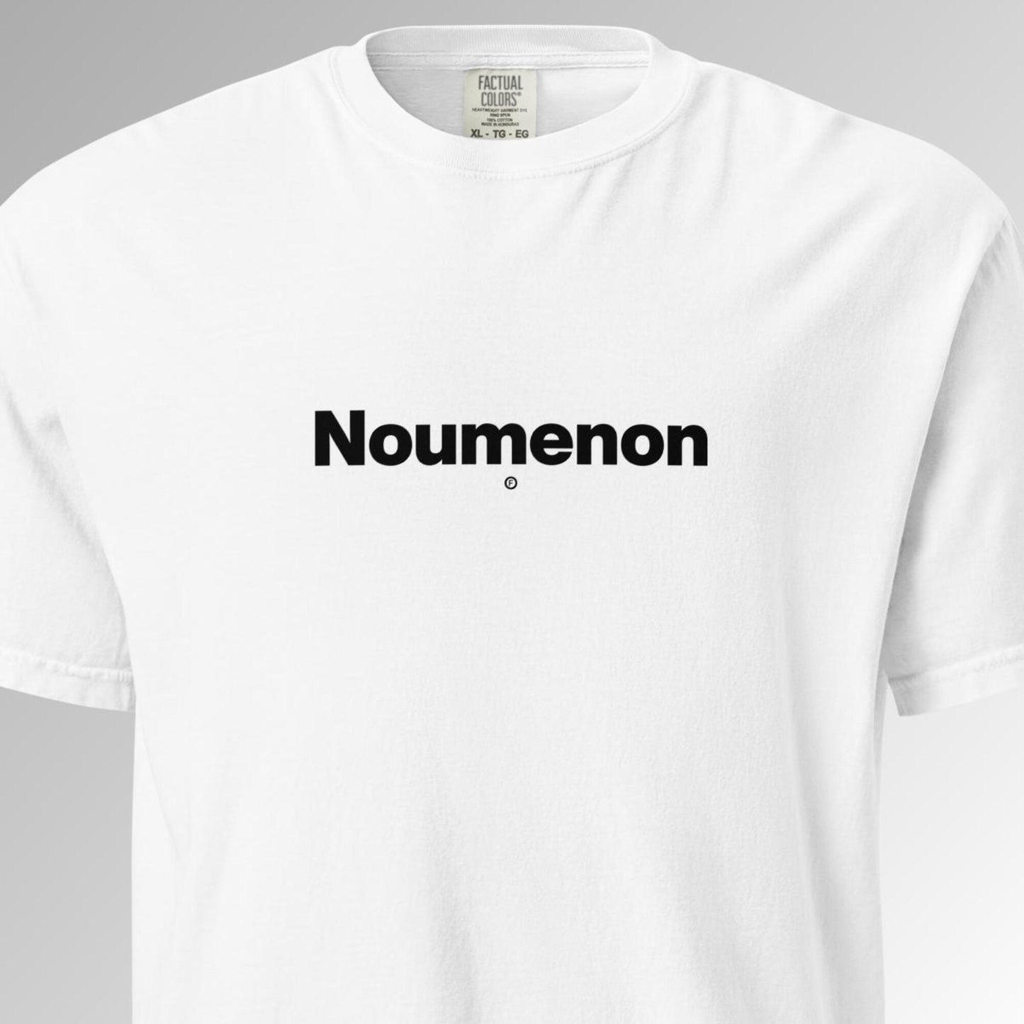 Noumenon T-Shirt - White - Factual Objects