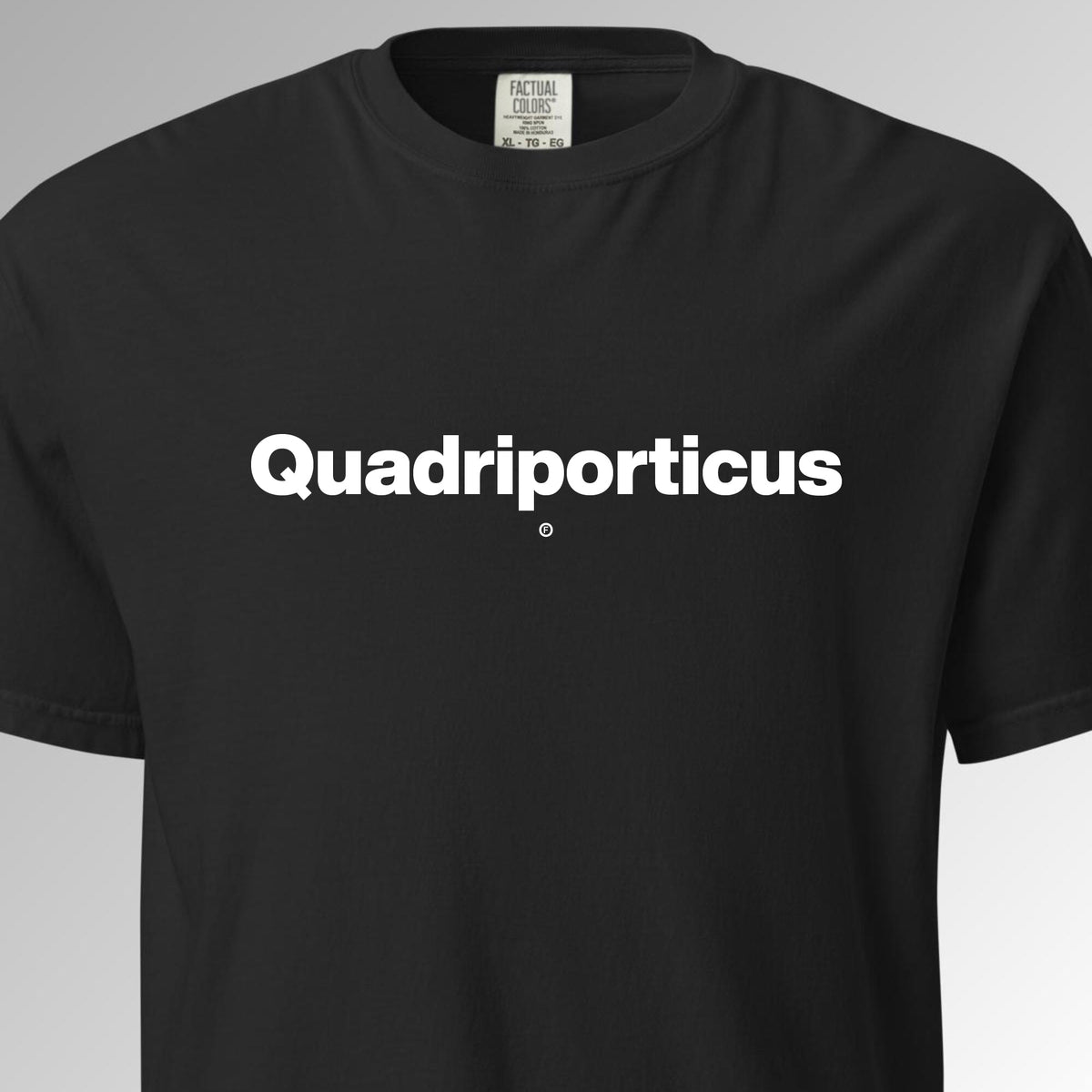 Quadriporticus T-Shirt