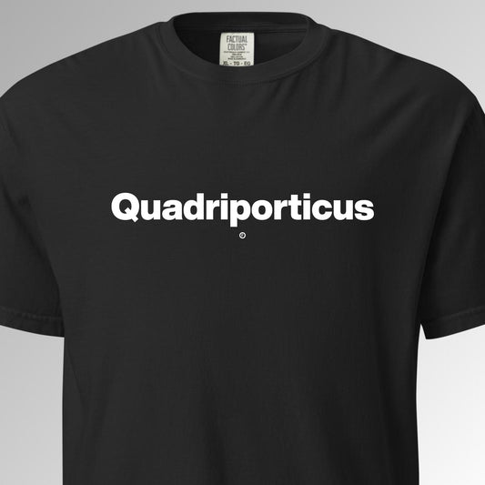 Quadriporticus T-Shirt