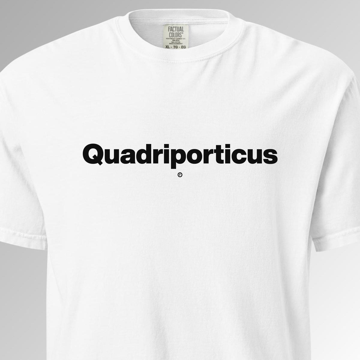 Quadriporticus T-Shirt